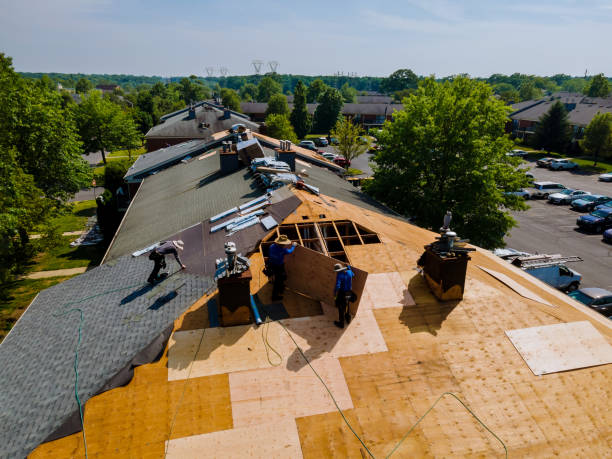 Best Commercial Roofing Services  in Albany, WI