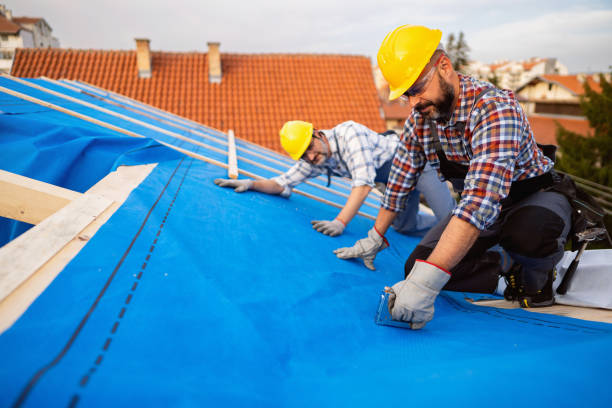 Best Roof Gutter Cleaning  in Albany, WI
