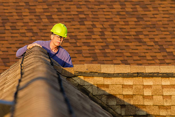 Best Best Roofing Contractors  in Albany, WI