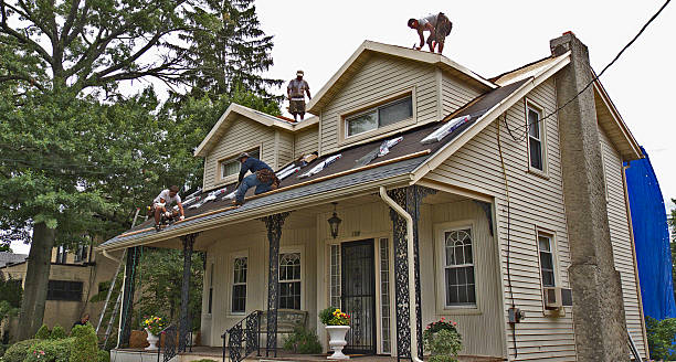 Best Affordable Roofing Company  in Albany, WI