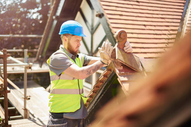 Best Shingle Roofing Installation  in Albany, WI